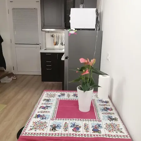 Appartamento Nuovo Condiviso Vicino Al Centro 公寓 都灵